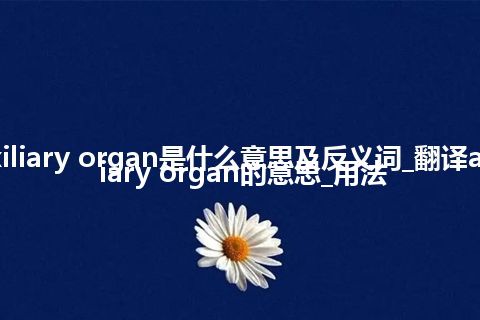 auxiliary organ是什么意思及反义词_翻译auxiliary organ的意思_用法