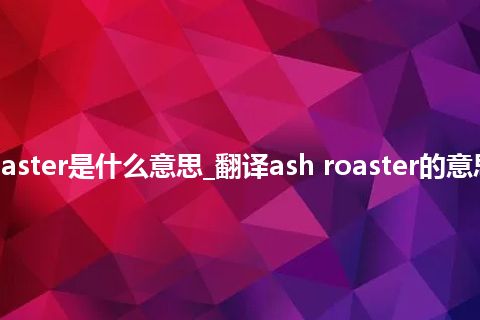 ash roaster是什么意思_翻译ash roaster的意思_用法