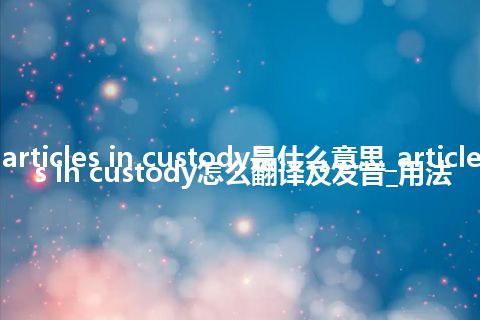 articles in custody是什么意思_articles in custody怎么翻译及发音_用法