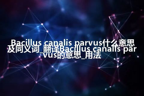 Bacillus canalis parvus什么意思及同义词_翻译Bacillus canalis parvus的意思_用法