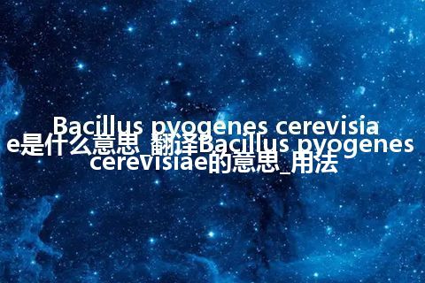 Bacillus pyogenes cerevisiae是什么意思_翻译Bacillus pyogenes cerevisiae的意思_用法