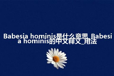 Babesia hominis是什么意思_Babesia hominis的中文释义_用法