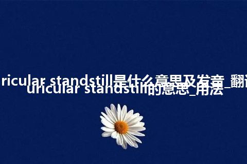 auricular standstill是什么意思及发音_翻译auricular standstill的意思_用法