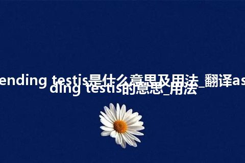 ascending testis是什么意思及用法_翻译ascending testis的意思_用法