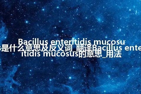 Bacillus enteritidis mucosus是什么意思及反义词_翻译Bacillus enteritidis mucosus的意思_用法