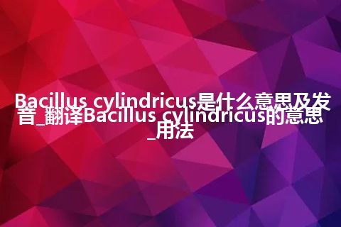 Bacillus cylindricus是什么意思及发音_翻译Bacillus cylindricus的意思_用法