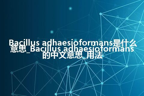 Bacillus adhaesioformans是什么意思_Bacillus adhaesioformans的中文意思_用法