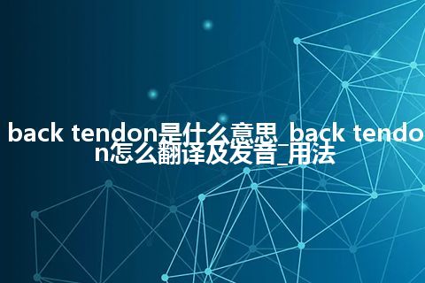 back tendon是什么意思_back tendon怎么翻译及发音_用法