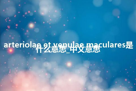 arteriolae et venulae maculares是什么意思_中文意思