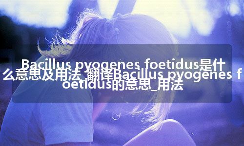 Bacillus pyogenes foetidus是什么意思及用法_翻译Bacillus pyogenes foetidus的意思_用法