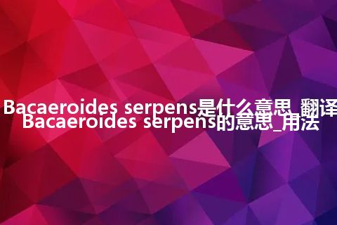 Bacaeroides serpens是什么意思_翻译Bacaeroides serpens的意思_用法