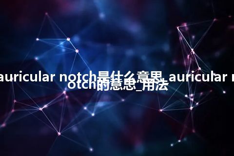 auricular notch是什么意思_auricular notch的意思_用法