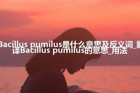 Bacillus pumilus是什么意思及反义词_翻译Bacillus pumilus的意思_用法