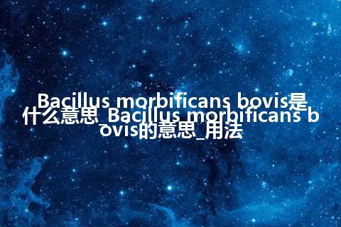 Bacillus morbificans bovis是什么意思_Bacillus morbificans bovis的意思_用法