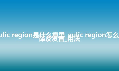 aulic region是什么意思_aulic region怎么翻译及发音_用法