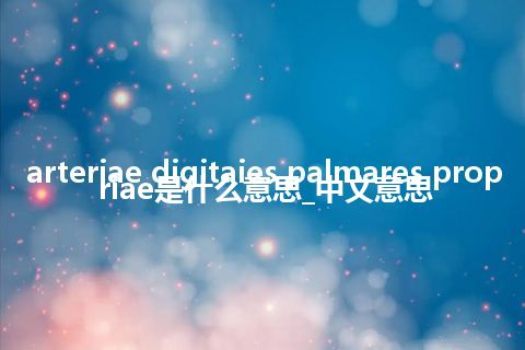 arteriae digitaies palmares propriae是什么意思_中文意思