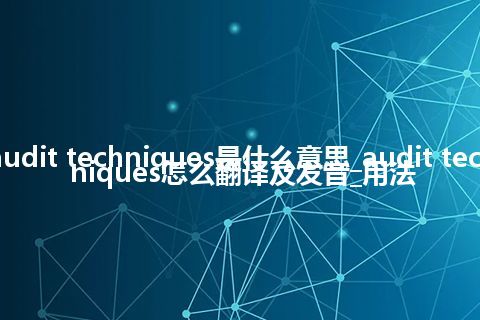 audit techniques是什么意思_audit techniques怎么翻译及发音_用法