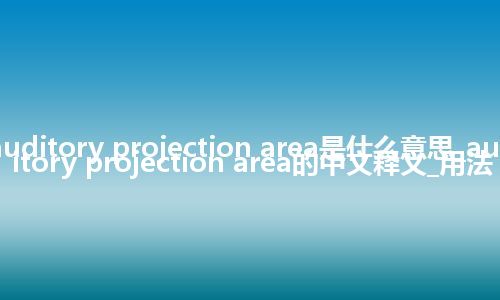 auditory projection area是什么意思_auditory projection area的中文释义_用法