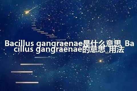 Bacillus gangraenae是什么意思_Bacillus gangraenae的意思_用法