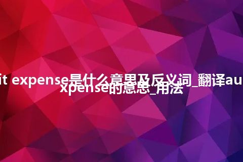 audit expense是什么意思及反义词_翻译audit expense的意思_用法