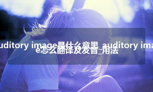 auditory image是什么意思_auditory image怎么翻译及发音_用法