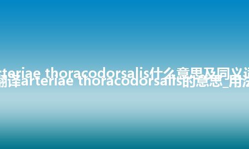 arteriae thoracodorsalis什么意思及同义词_翻译arteriae thoracodorsalis的意思_用法