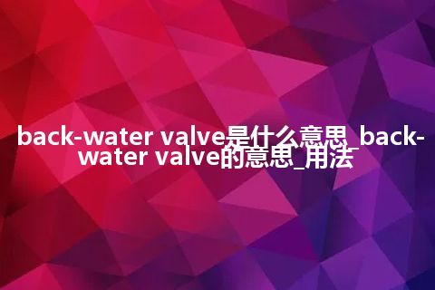 back-water valve是什么意思_back-water valve的意思_用法