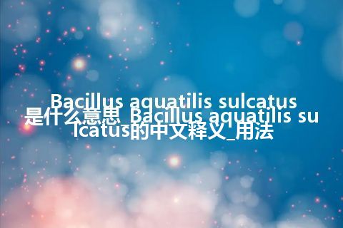 Bacillus aquatilis sulcatus是什么意思_Bacillus aquatilis sulcatus的中文释义_用法