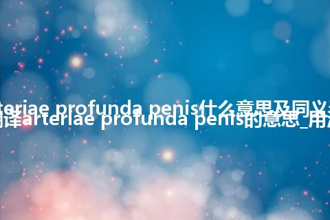 arteriae profunda penis什么意思及同义词_翻译arteriae profunda penis的意思_用法