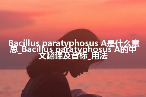 Bacillus paratyphosus A是什么意思_Bacillus paratyphosus A的中文翻译及音标_用法