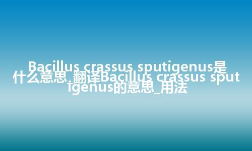 Bacillus crassus sputigenus是什么意思_翻译Bacillus crassus sputigenus的意思_用法