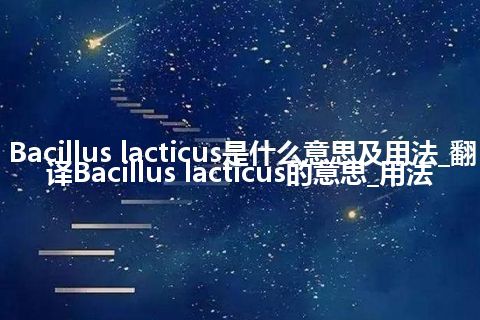 Bacillus lacticus是什么意思及用法_翻译Bacillus lacticus的意思_用法