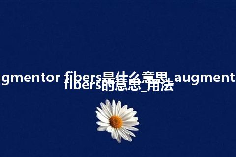 augmentor fibers是什么意思_augmentor fibers的意思_用法