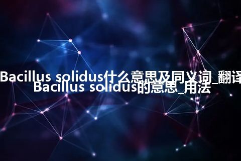 Bacillus solidus什么意思及同义词_翻译Bacillus solidus的意思_用法