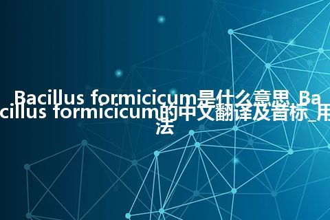 Bacillus formicicum是什么意思_Bacillus formicicum的中文翻译及音标_用法