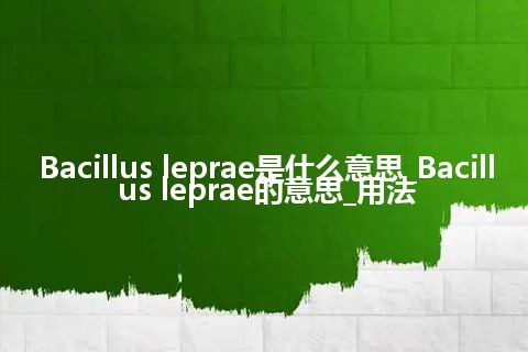 Bacillus leprae是什么意思_Bacillus leprae的意思_用法