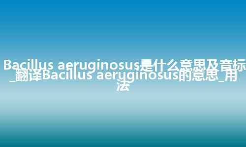 Bacillus aeruginosus是什么意思及音标_翻译Bacillus aeruginosus的意思_用法