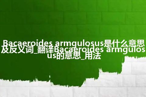 Bacaeroides armgulosus是什么意思及反义词_翻译Bacaeroides armgulosus的意思_用法