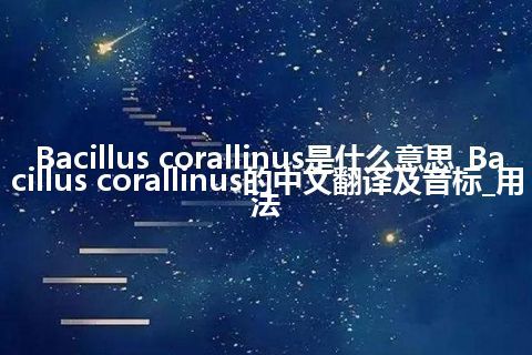 Bacillus corallinus是什么意思_Bacillus corallinus的中文翻译及音标_用法