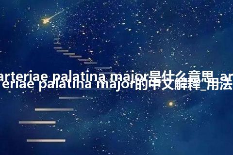 arteriae palatina major是什么意思_arteriae palatina major的中文解释_用法