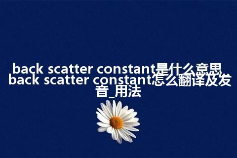 back scatter constant是什么意思_back scatter constant怎么翻译及发音_用法