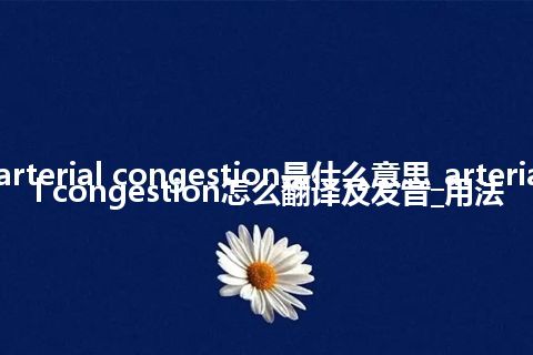 arterial congestion是什么意思_arterial congestion怎么翻译及发音_用法