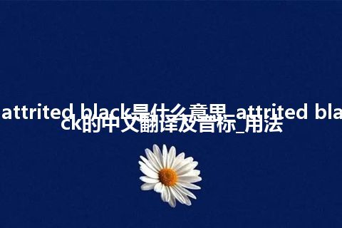 attrited black是什么意思_attrited black的中文翻译及音标_用法