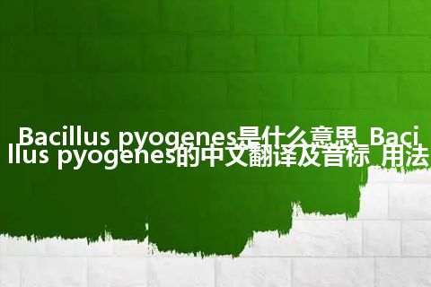 Bacillus pyogenes是什么意思_Bacillus pyogenes的中文翻译及音标_用法