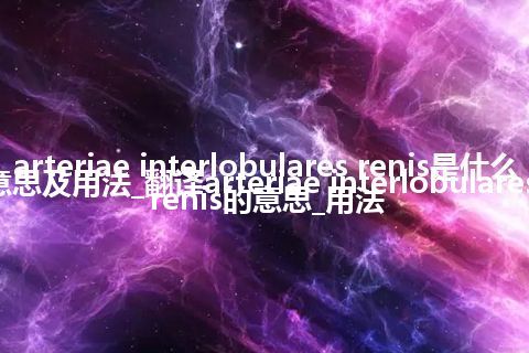 arteriae interlobulares renis是什么意思及用法_翻译arteriae interlobulares renis的意思_用法