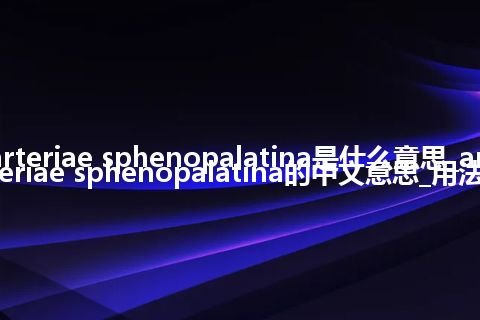 arteriae sphenopalatina是什么意思_arteriae sphenopalatina的中文意思_用法