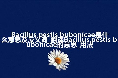 Bacillus pestis bubonicae是什么意思及反义词_翻译Bacillus pestis bubonicae的意思_用法