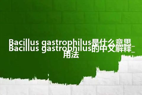 Bacillus gastrophilus是什么意思_Bacillus gastrophilus的中文解释_用法