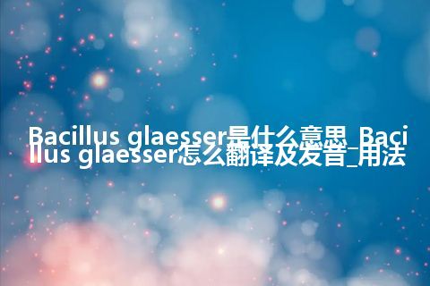 Bacillus glaesser是什么意思_Bacillus glaesser怎么翻译及发音_用法