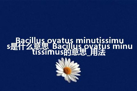 Bacillus ovatus minutissimus是什么意思_Bacillus ovatus minutissimus的意思_用法